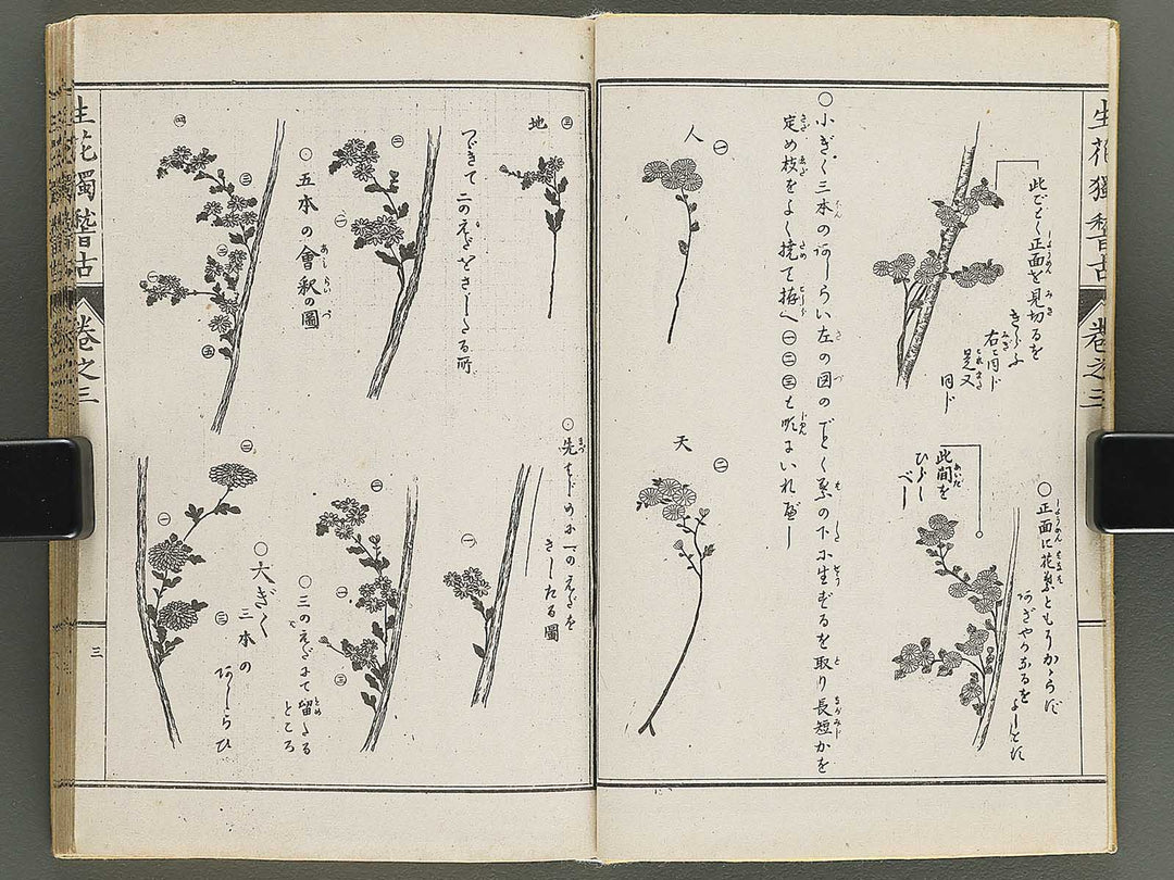 Shoryu hiden ikebana hitorigeiko Volume 3 / BJ347-942