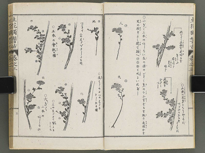 Shoryu hiden ikebana hitorigeiko Volume 3 / BJ347-942