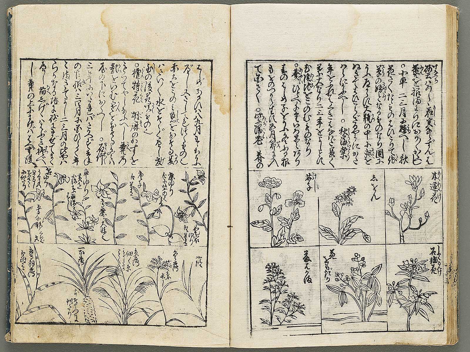 Kado zensho Volume 1 / BJ335-328 – NIHONKOSHO