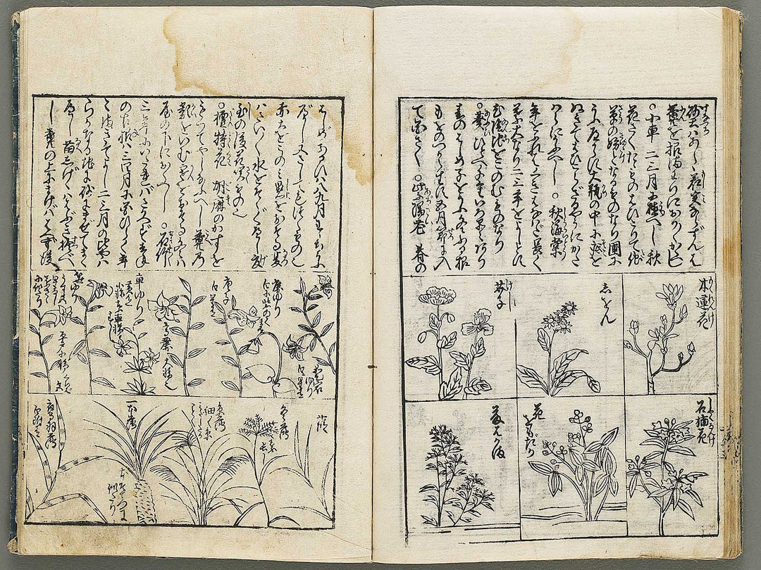 Kado zensho Volume 1 / BJ335-328