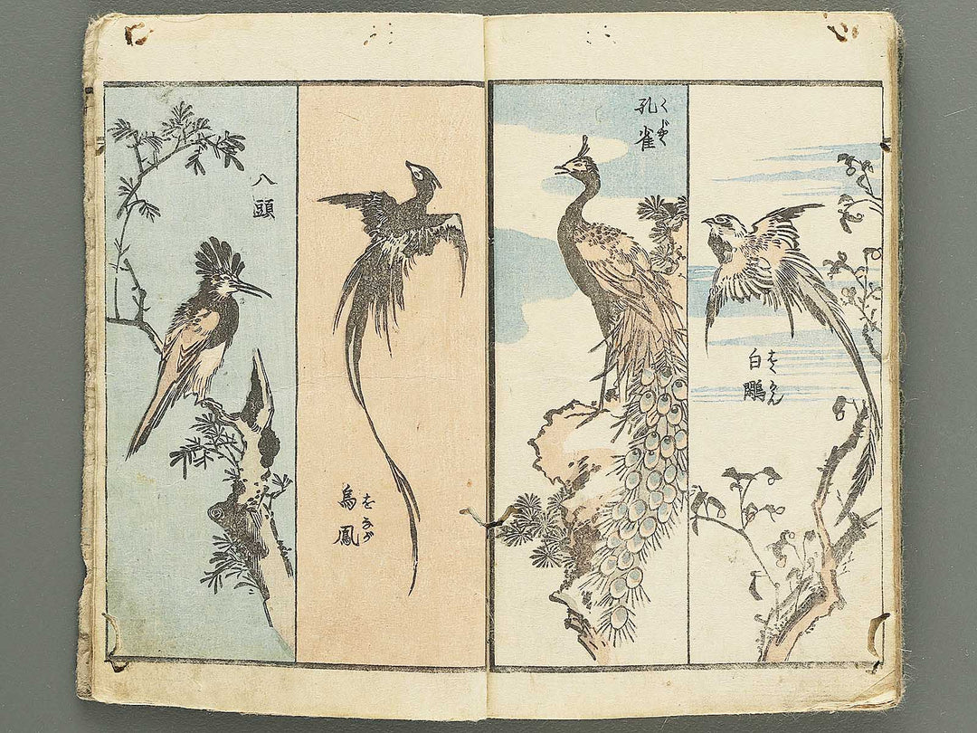 Yanagawa gafu (Kacho bu) by Yanagawa Shigenobu / BJ348-964