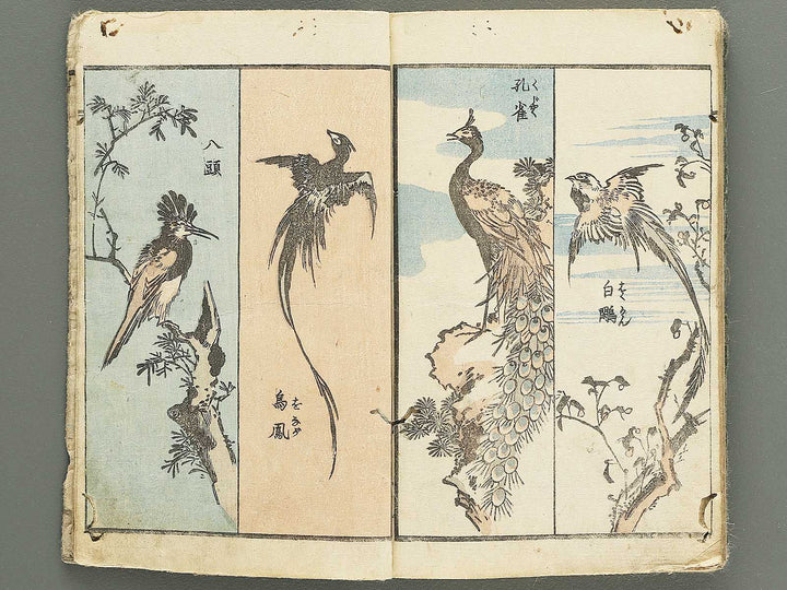Yanagawa gafu (Kacho bu) by Yanagawa Shigenobu / BJ348-964
