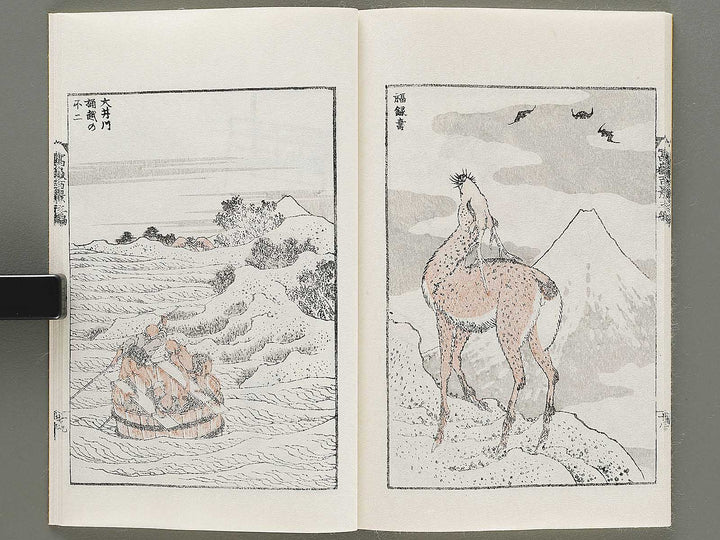 Hokusai fugaku hyakkei Volume 3 by Katsushika Hokusai / BJ331-877