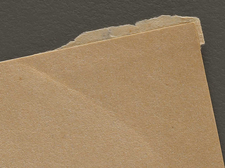 Kabuki actor / BJ325-388