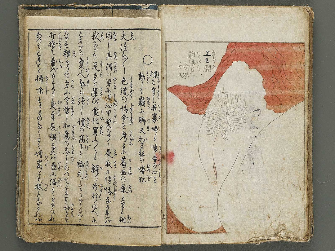 Tsumagasane by Hokusai or Hokusai-school / BJ341-901