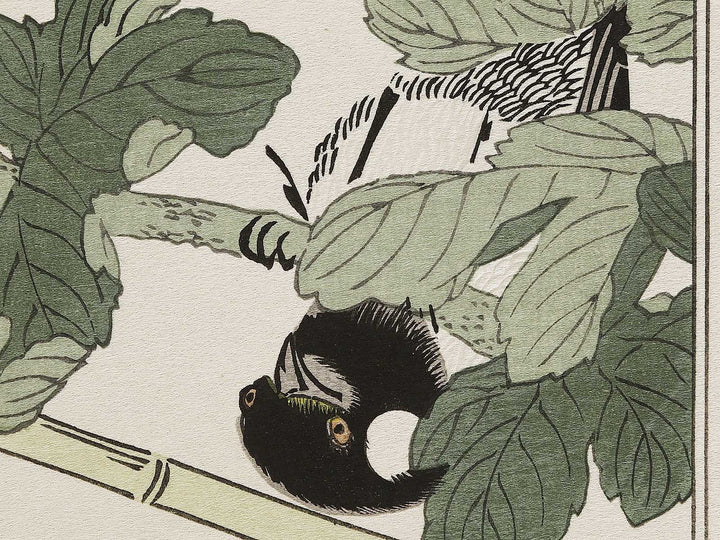 Branta canadensis and Robin from the series Momochidori kyokaawase by Kitagawa Utamaro, (Large print size) / BJ327-999