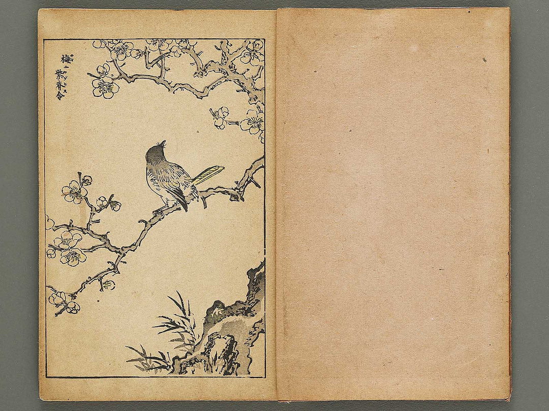 Kacho gafu by Adachi Ginko / BJ333-438