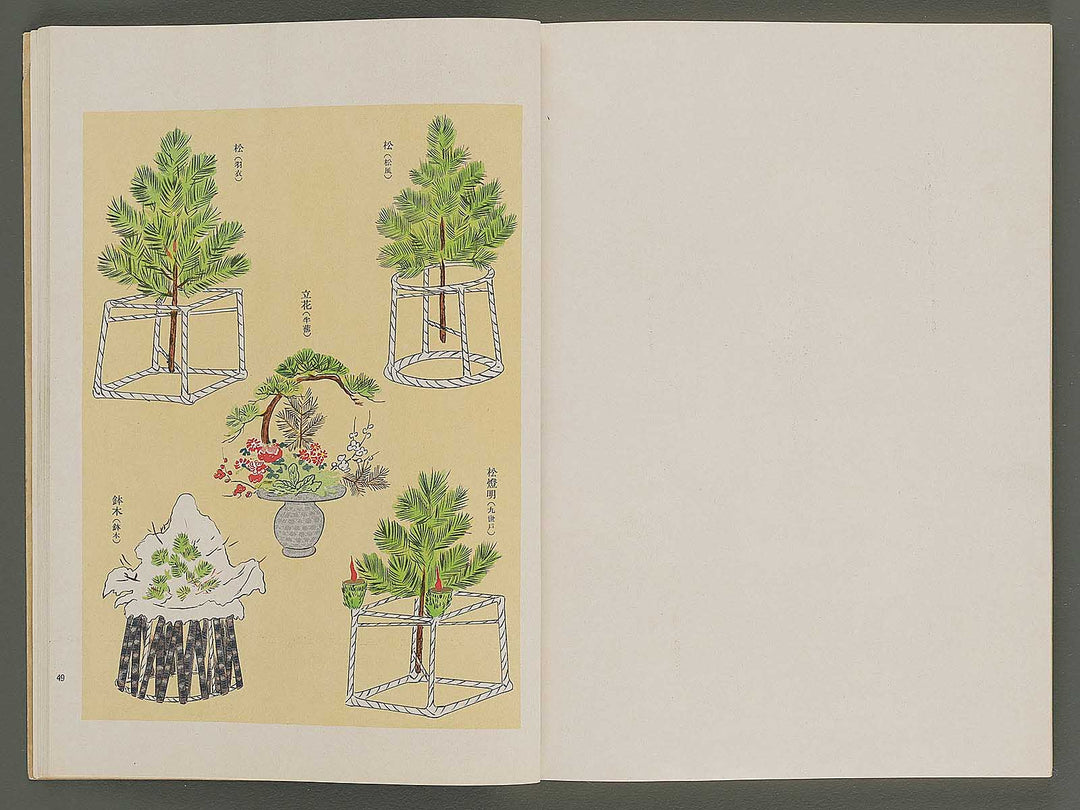 Nogaku guso seika / BJ344-120