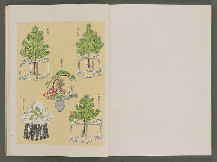 Nogaku guso seika / BJ344-120