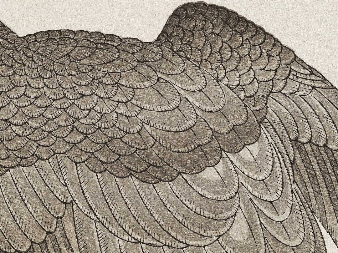 Hawk and Shrike from the series Momotidori kyoka awase by Kitagawa Utamaro, (Large print size) / BJ327-985