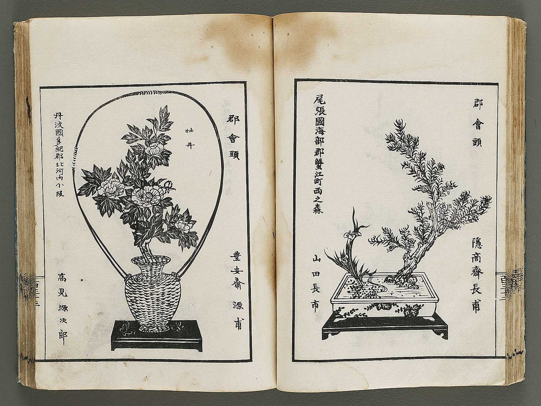 Kinen soka sanko no kaori (Ge) by Sawamura Riho / BJ324-688