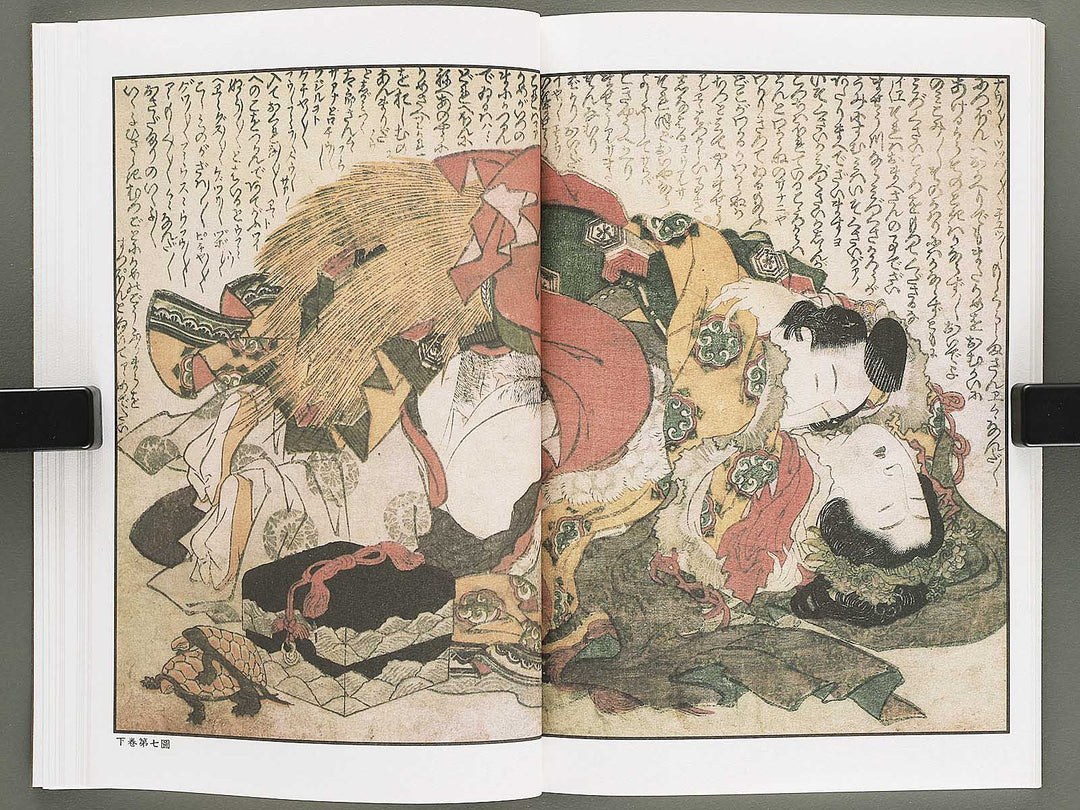 Ezoshi Tamakazura Volume 12 by Katsushika Hokusai / BJ346-486