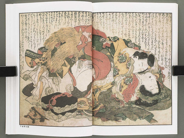 Ezoshi Tamakazura Volume 12 by Katsushika Hokusai / BJ346-486