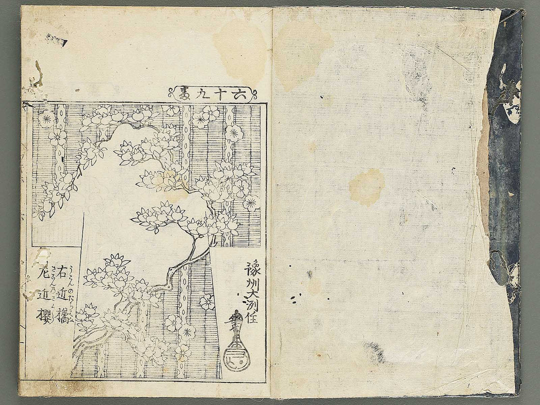 HInagata tsugihozakura (Ge) by Nankatei / BJ347-592