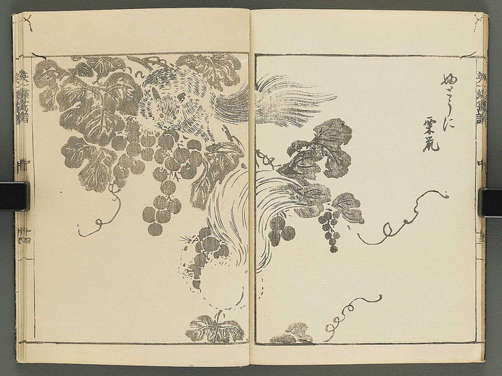 Iccho gafu (Chu) by Hanabusa Iccho / BJ343-637