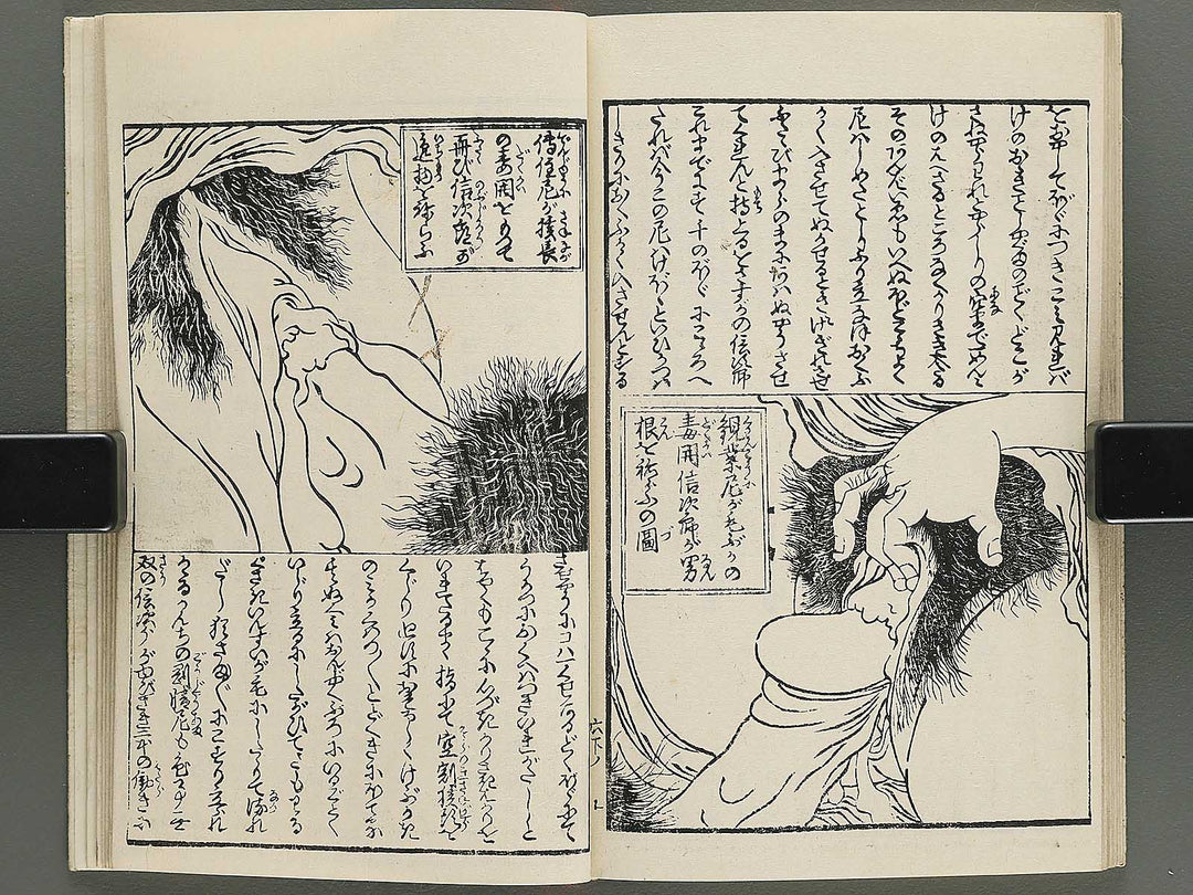 Insho kaiko ki Volume 6, (Ge) by Utagawa Yoshikazu / BJ345-737