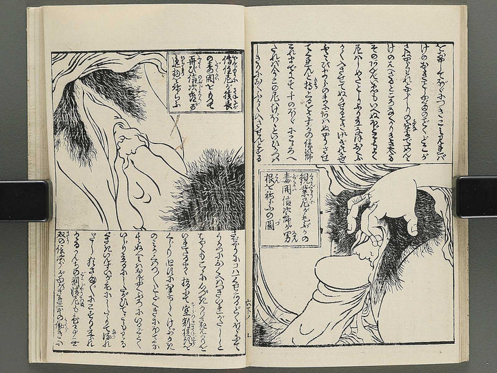 Insho kaiko ki Volume 6, (Ge) by Utagawa Yoshikazu / BJ345-737