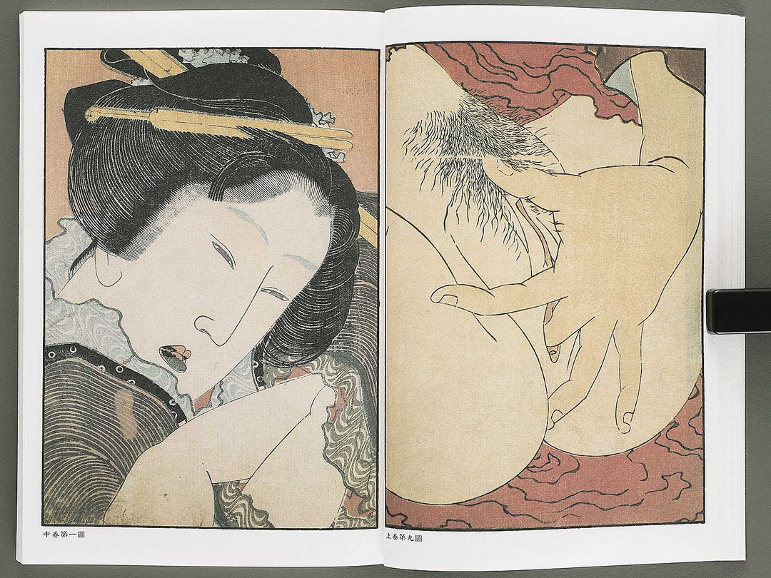 Ezoshi Konoe no komatsu Volume 3 by Katsushika Hokusai / BJ346-437