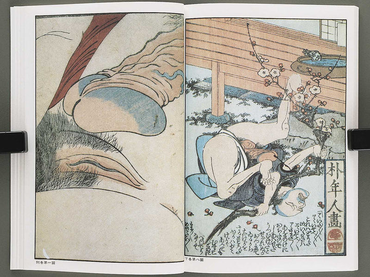 Otome sugata Volume 9 by Utagawa Kunitora / BJ346-500
