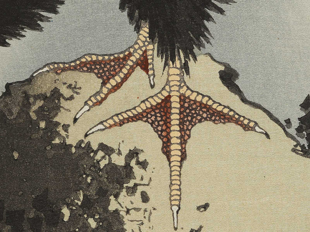 A cormorant stands resolute at the head of a rock by the sea by Katsushika Hokusai, (Medium print size) / BJ325-017