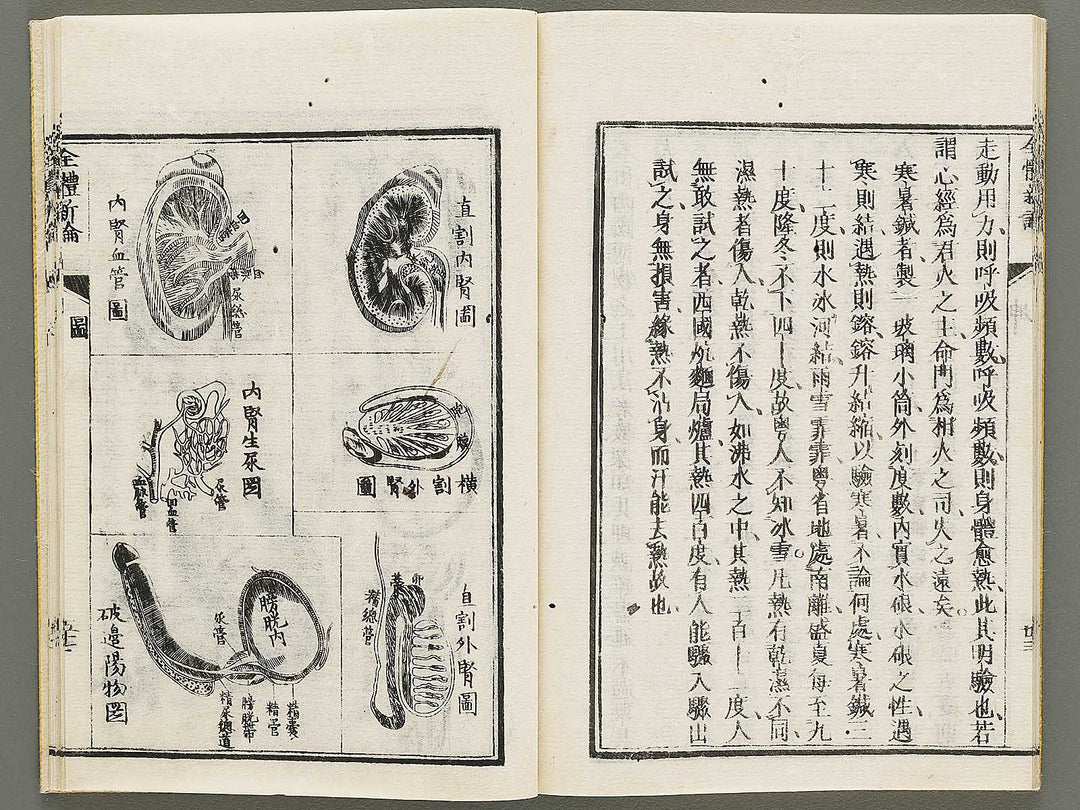 Zentai shinron Kon (Part 2 of 2) / BJ325-353