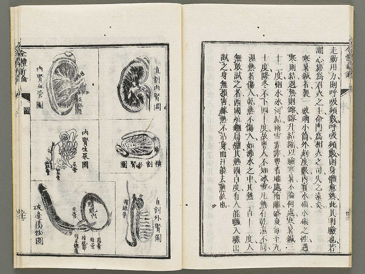 Zentai shinron Kon (Part 2 of 2) / BJ325-353