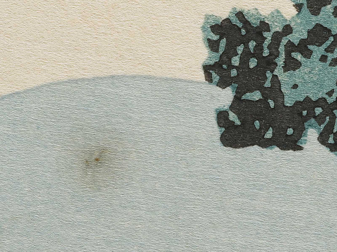 Ashikaga gyodo zan kumo no kakehashi from the series Shokoku meisho kiran by Katsushika Hokusai, (Large print size) / BJ320-565