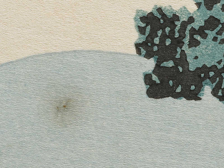 Ashikaga gyodo zan kumo no kakehashi from the series Shokoku meisho kiran by Katsushika Hokusai, (Large print size) / BJ320-565