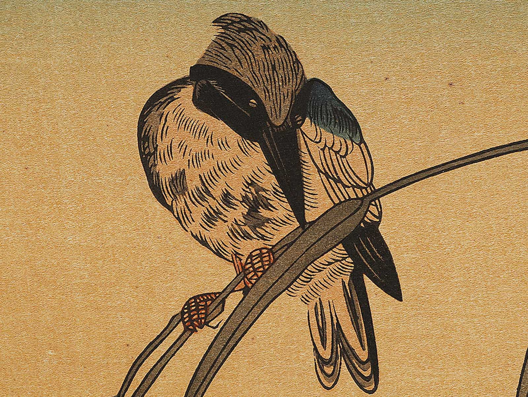 Duck and Kingfisher from the series Momotidori kyoka awase by Kitagawa Utamaro, (Large print size) / BJ328-349