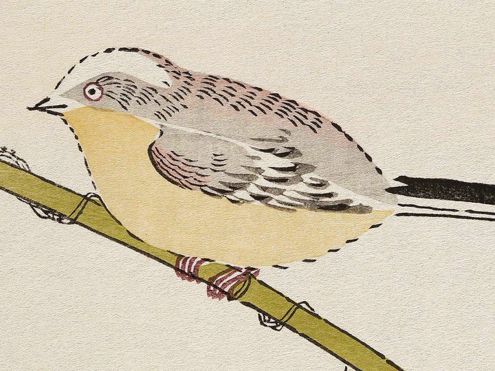 Long tailed Tit and White-eyes from the series Momochidori kyokaawase by Kitagawa Utamaro, (Large print size) / BJ328-006