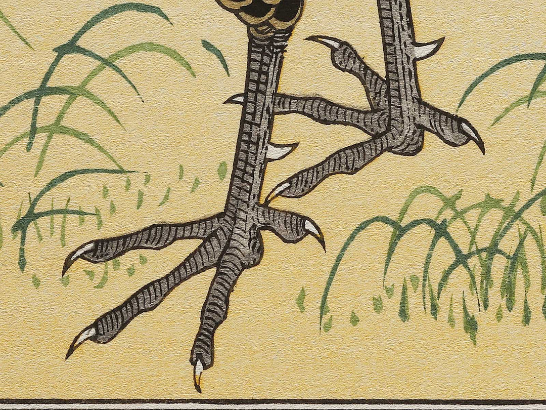 Swallow and Pheasant from the series Momochidori kyoka awase by Kitagawa Utamaro, (Large print size) / BJ327-964