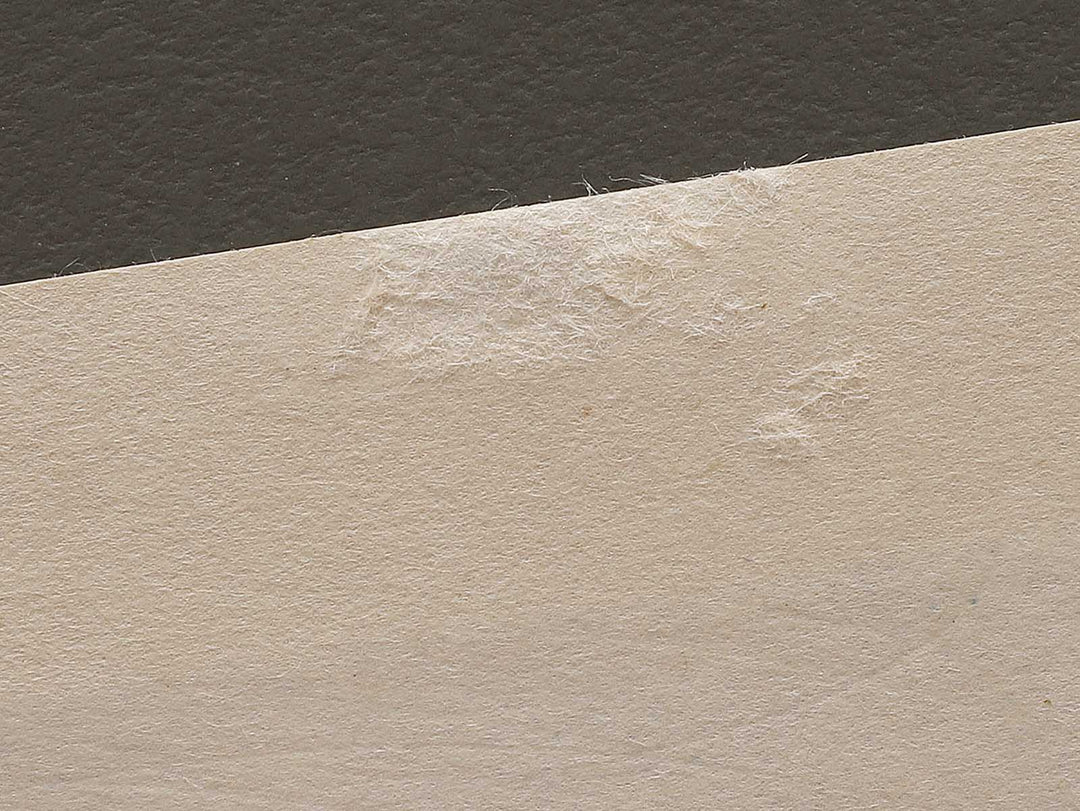 HOTARU(The Fireflies) from the series The Tale of Genji by Ebina Masao, (Medium print size) / BJ329-231