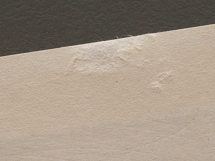 HOTARU(The Fireflies) from the series The Tale of Genji by Ebina Masao, (Medium print size) / BJ329-231