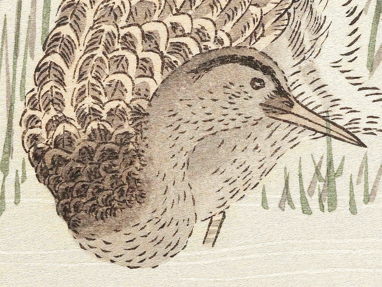 Shoryo ni shigi from the series Momochidori kyoka awase by Kitagawa Ut ...