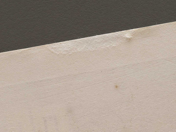 WAKANA(Young flesh greens)Part  from the series The Tale of Genji by Ebina Masao, (Medium print size) / BJ329-378