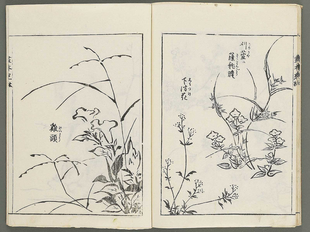 Korin michishirube by Nonomura Chube / BJ351-127