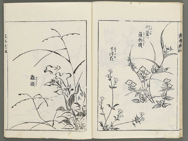 Korin michishirube by Nonomura Chube / BJ351-127