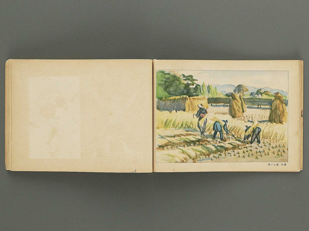 Jinjo shogaku zuga Dai 6gakunen danji yo / BJ349-342