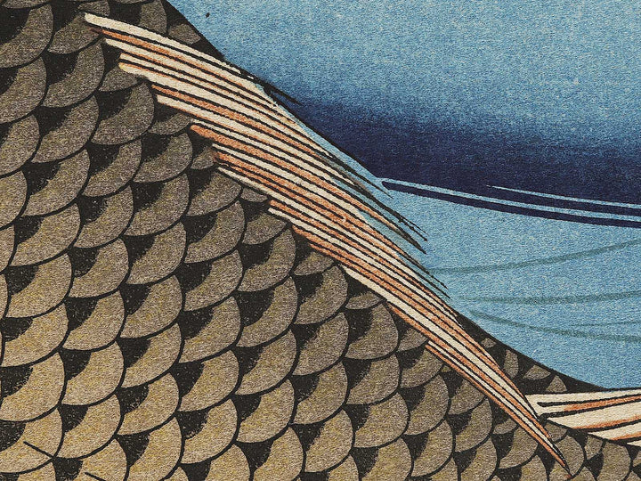 Japanese Carp from the series the series fish by Utagawa Hiroshige, (Large print size) / BJ323-407