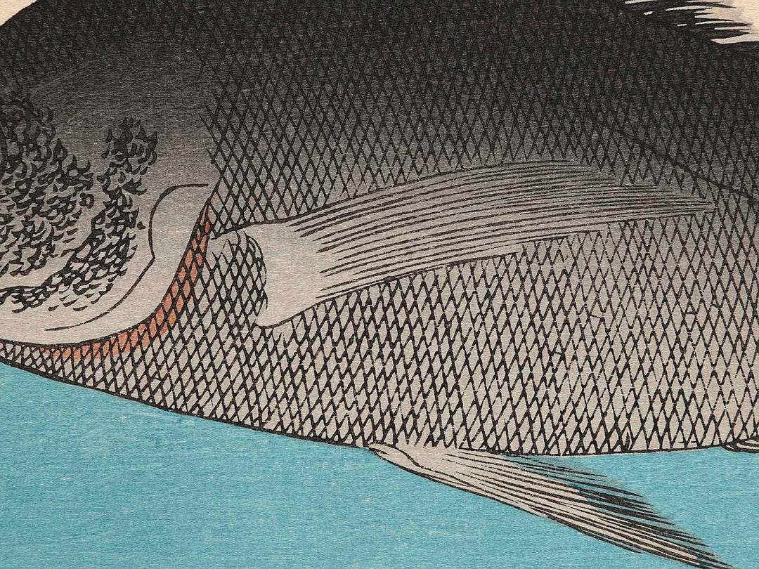 Halibut, Rockfish & Cherry Blossoms from the series the series FISH by Utagawa Hiroshige, (Large print size) / BJ237-664