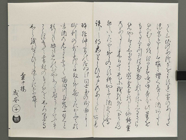 Ehon sumidagawa ryogan ichiran (Jo) by Katsushika Hokusai / BJ341-152