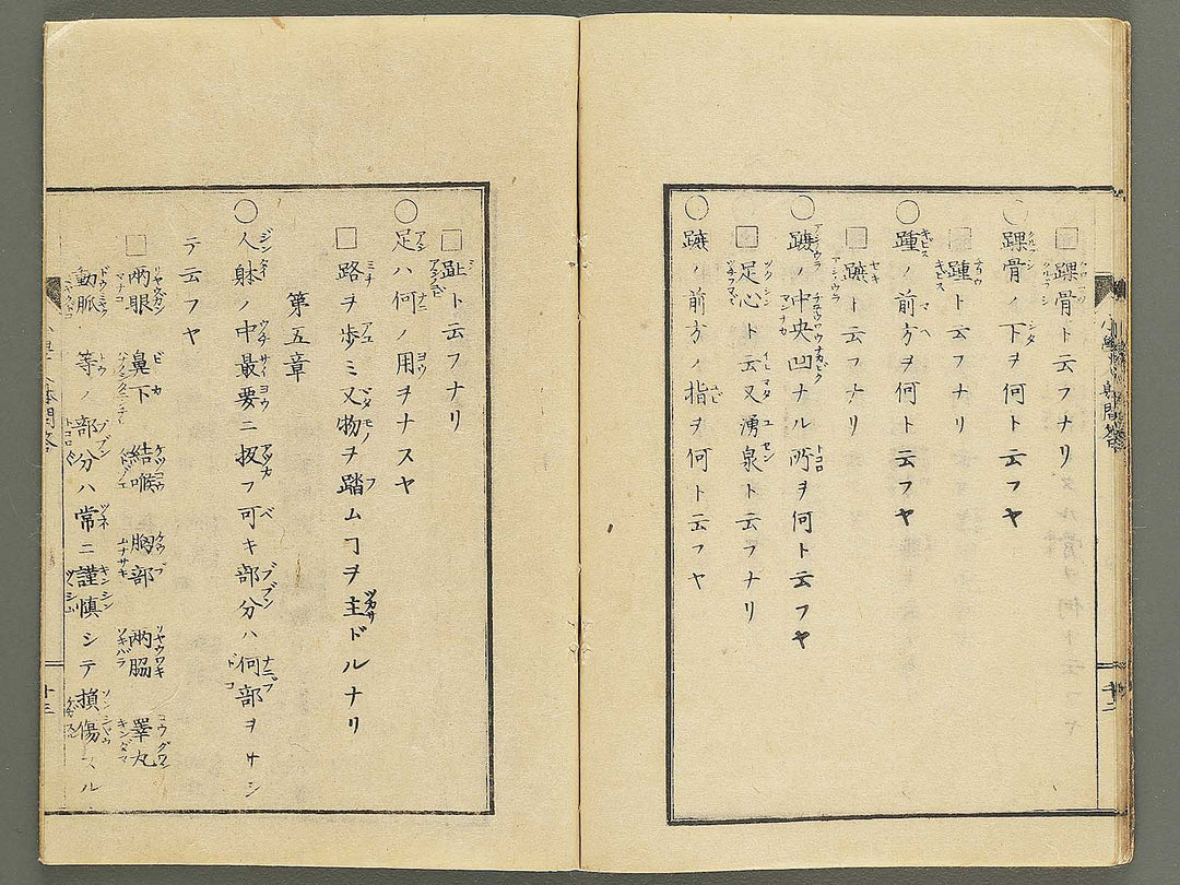 Shogaku jintai mondo / BJ352-884