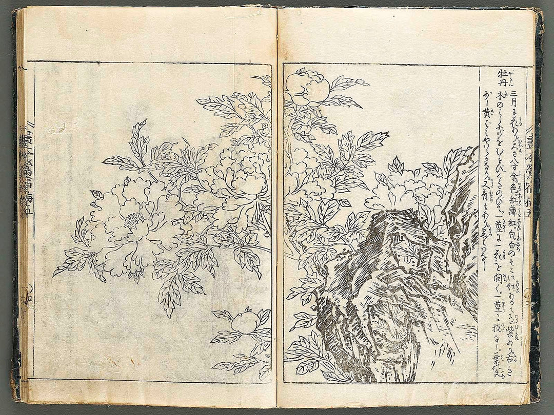 Ehon oushukubai Volume 5 by Tachibana Morikuni / BJ327-691