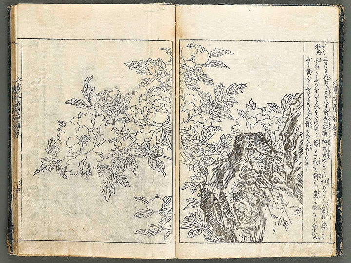 Ehon oushukubai Volume 5 by Tachibana Morikuni / BJ327-691