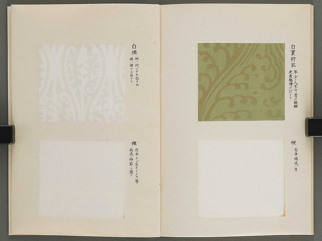 Kojitsu sosho shokumon zue Kariginu by Honma Hyakuri / BJ339-969
