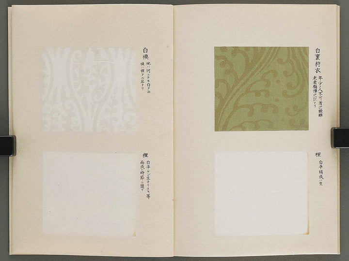 Kojitsu sosho shokumon zue Kariginu by Honma Hyakuri / BJ339-969