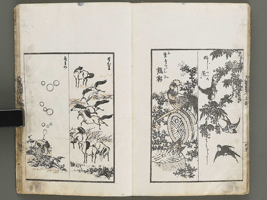 Banshoku zuko Volume 5 by Katsushika Hokusai / BJ326-116