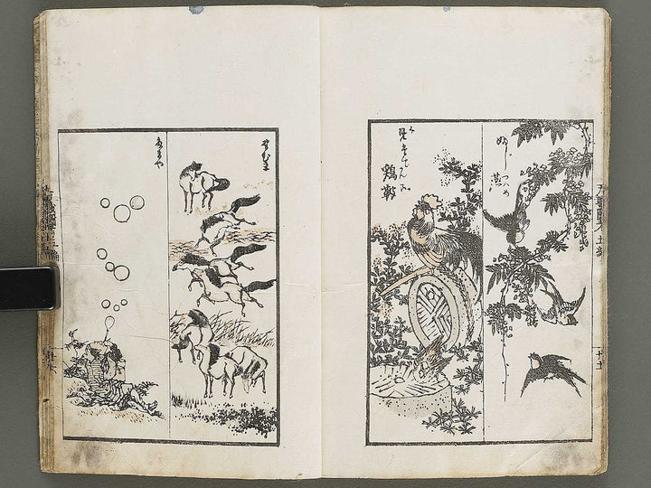Banshoku zuko Volume 5 by Katsushika Hokusai / BJ326-116