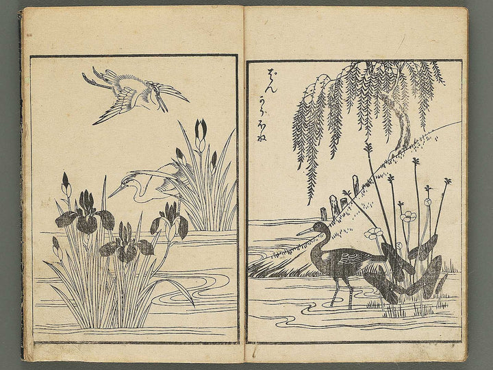 Kacho gafu by Asai Osui / BJ345-842