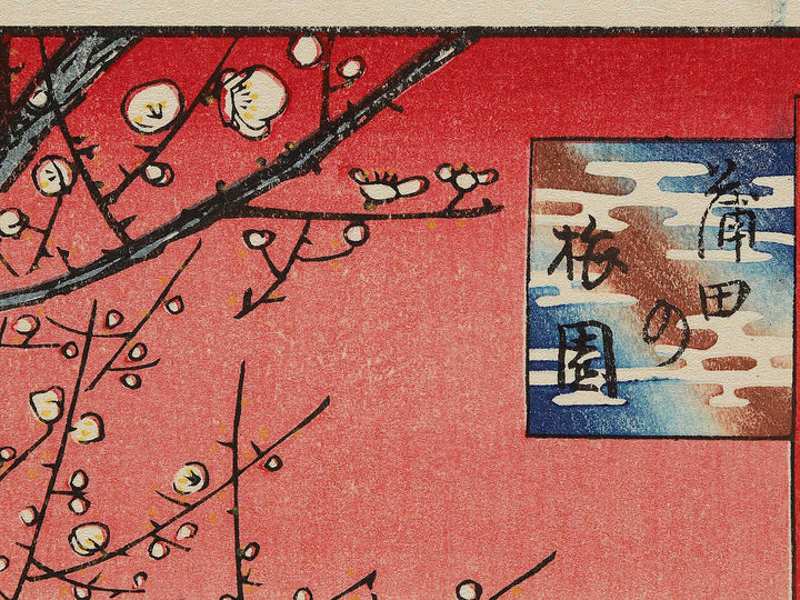 Plum Garden, Kamata from the series One Hundred Famous Views of Edo by Utagawa Hiroshige, (Large print size) / BJ296-947